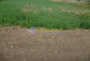 teren-intravilan-1091mp-alba-micesti